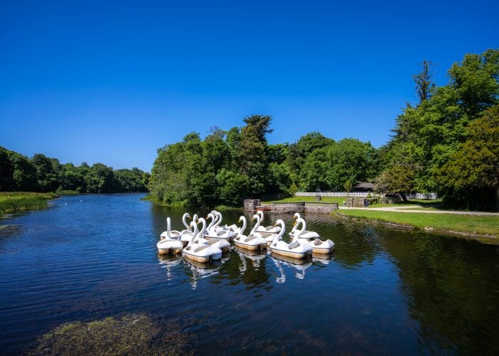 You'll have the best view of Westport Estate from the lake during your Swan Pedalo ride.